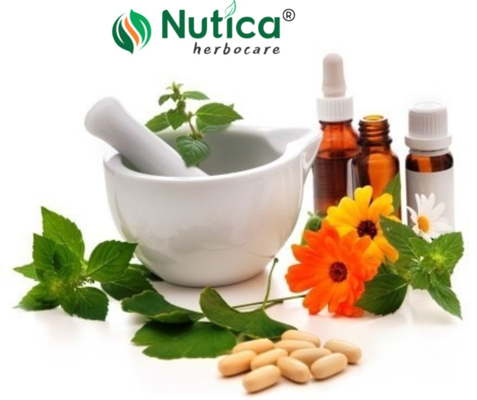 Top 10 Ayurvedic Companies in India: Ayurvedic PCD Company in India