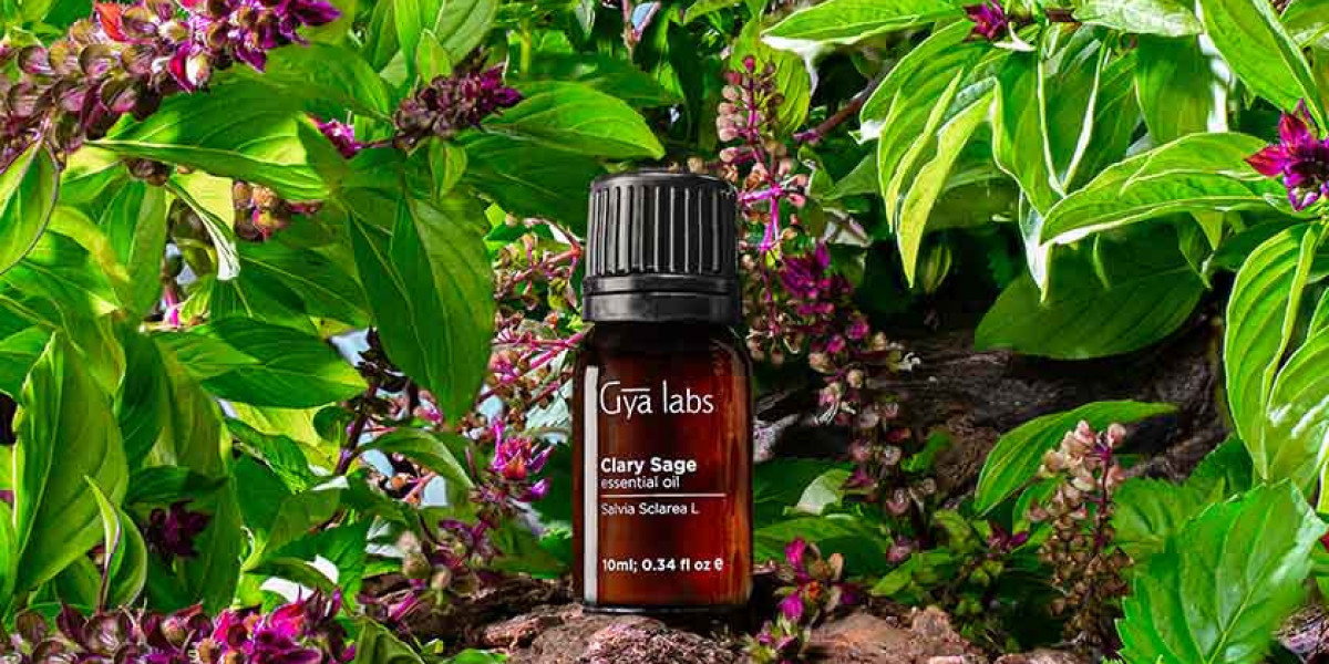 Clary Sage Oil for Sale: Explore the Wonders of GyaLabs Clary Sage Oil