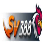 sv388vv Sv388 Profile Picture