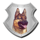 Canine Patrolling in Sussex | Security Services | Guard Dog Security