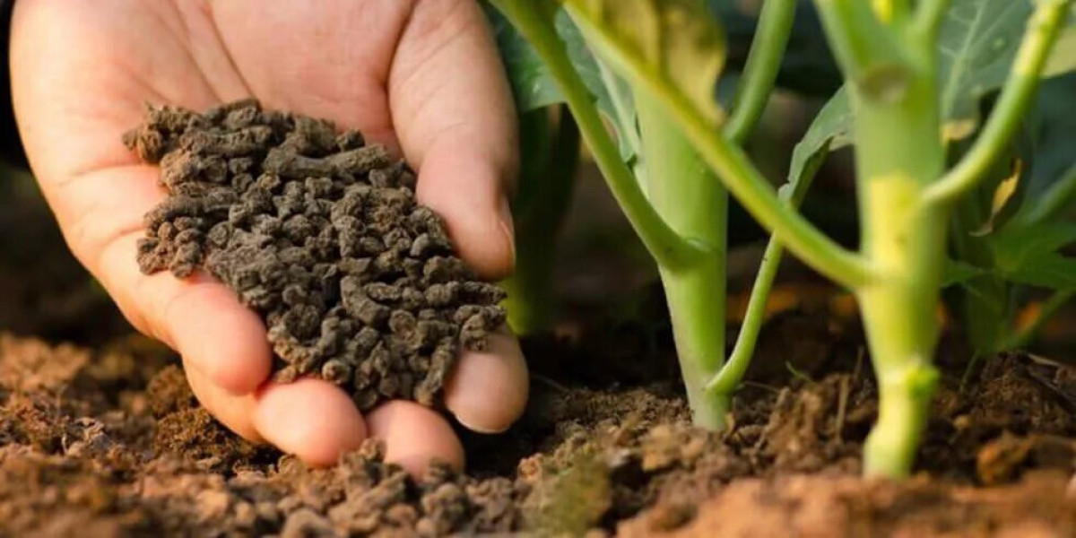 Revitalise Your Soil with Expert Soil Advisor in Melbourne