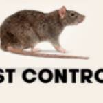 Rats Pest Control Perth Profile Picture