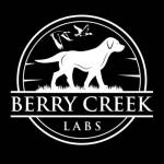 BerryCreekLabs Profile Picture