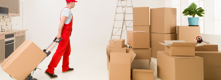 Vic Removals Cover Image