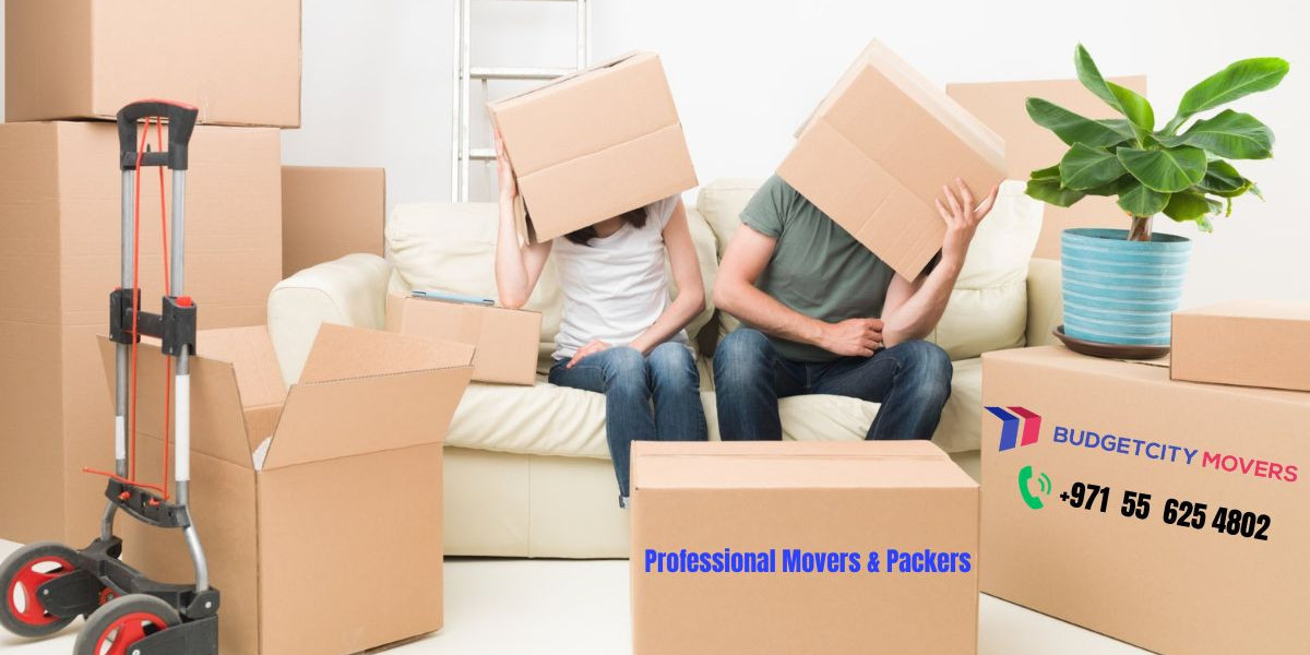 movers and packers in dubai