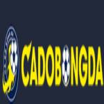 Cadobongda Co Profile Picture