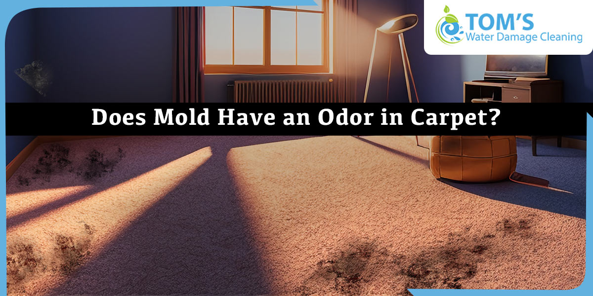 Does Mold Have an Odor in Carpet?