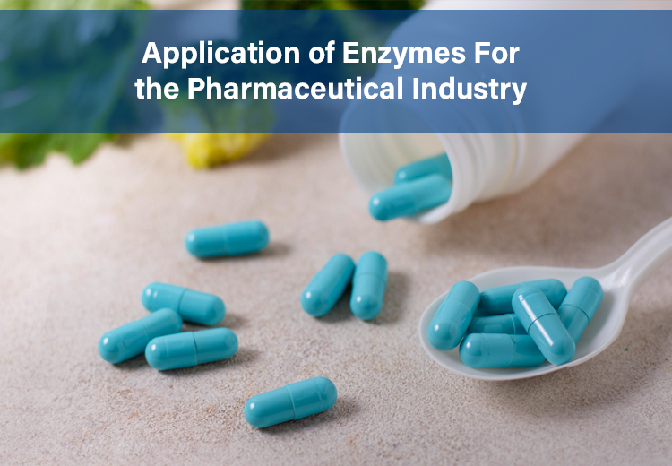 Application of Enzymes for Pharmaceutical Industry