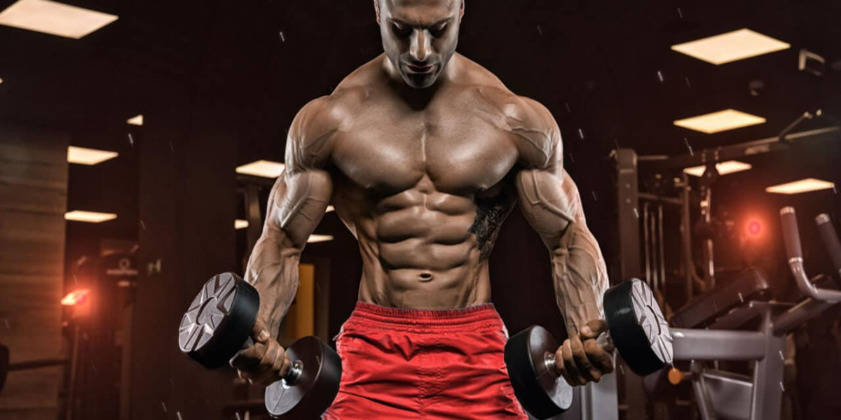 Unlocking the Power of Sustanon 250 for bodybuilding