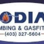 Kodiak Plumbing Gasfitting Ltd Profile Picture