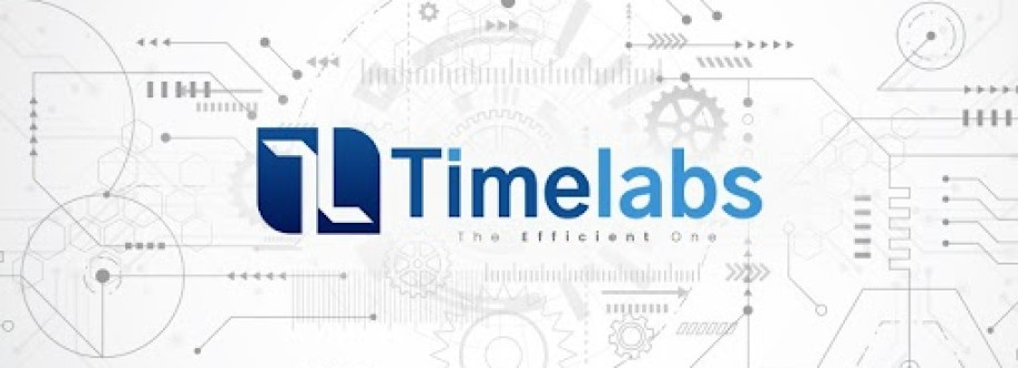 Timelabs Cover Image