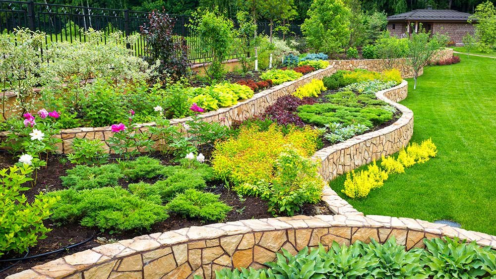 Crafting Sustainable Beauty: The Essence of Drought-Tolerant Landscaping - NFL News