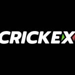 Crickex login Profile Picture