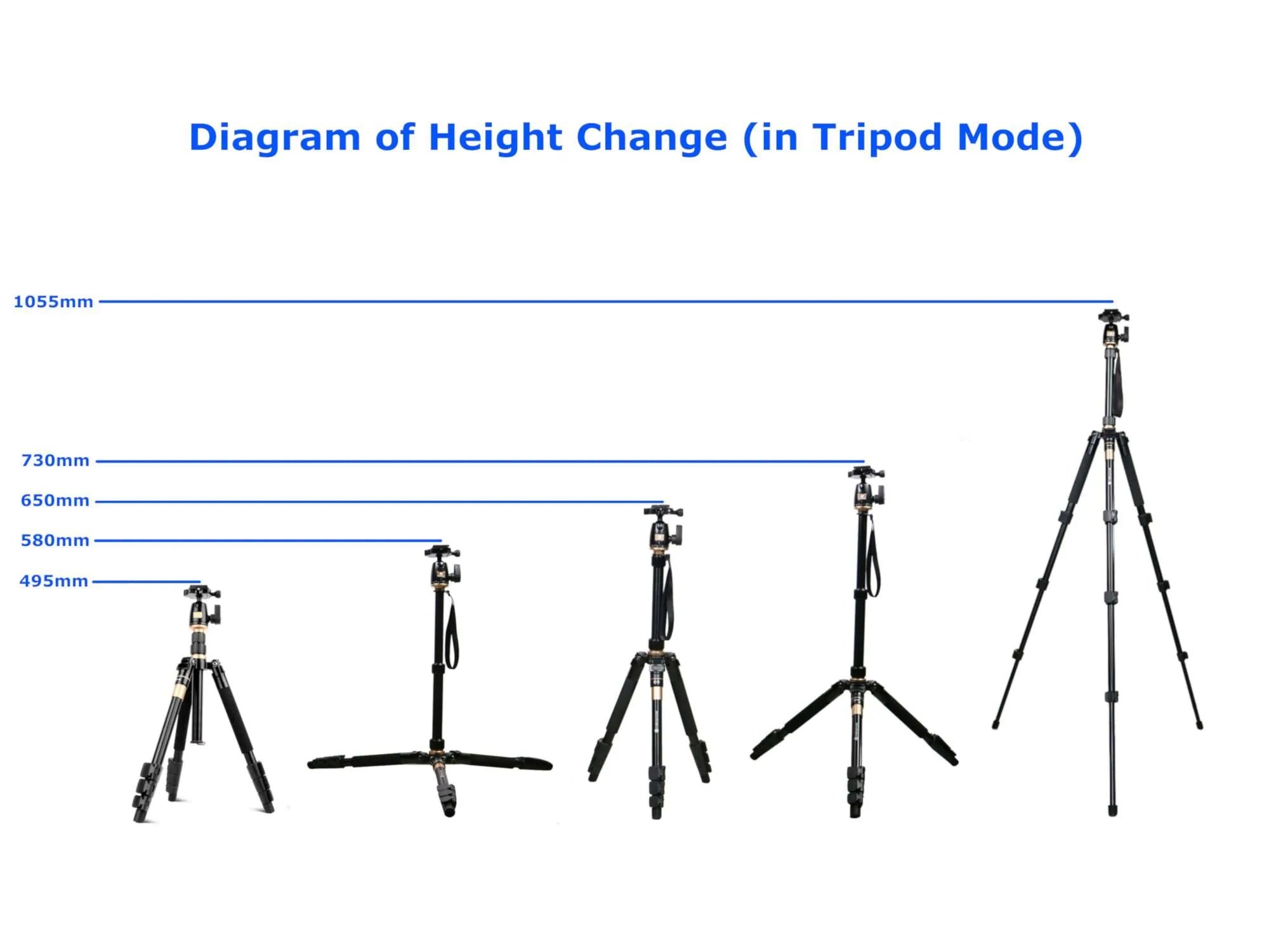 Whizolosophy | What To Look for In DSLR Tripod?