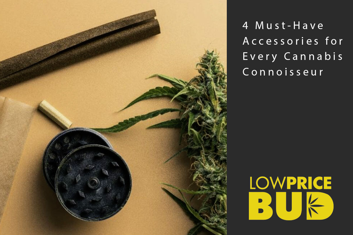 4 Must-Have Accessories for Every Cannabis Connoisseur - Low Price Bud