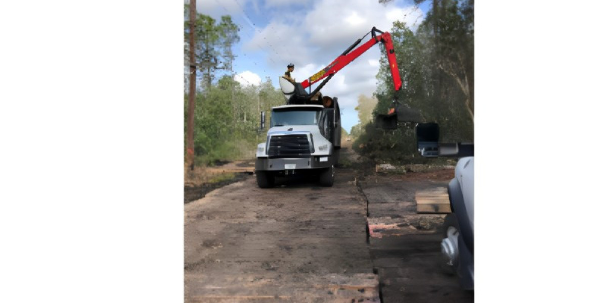 Crisis Control: Emergency Tree Removal in St. Johns County, FL for a Safer Environment