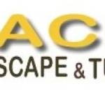 Acelandscape Profile Picture