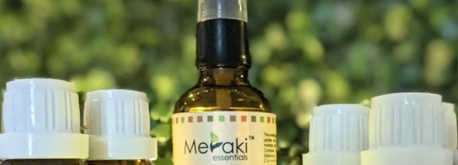 Meraki Essentials Cover Image