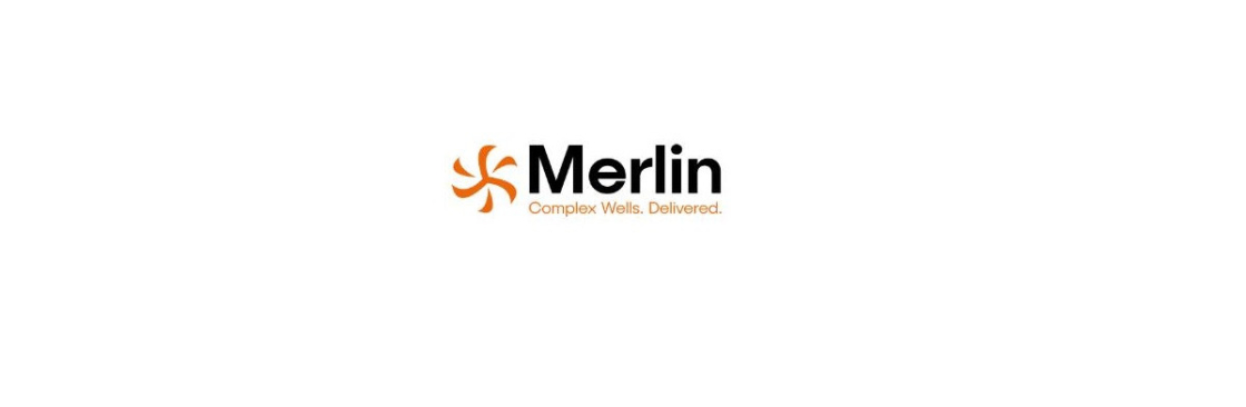 Merlin ERD limited Cover Image