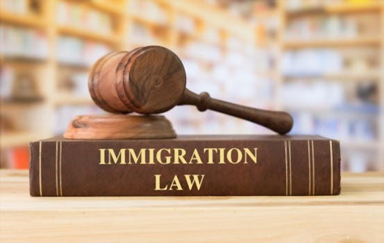 The Role of an Immigration Attorney: Why Legal Representation Matters