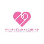 Posh steam Cleaning Profile Picture