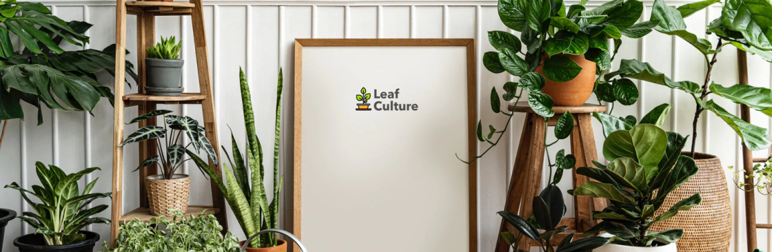 Leaf Culture Cover Image