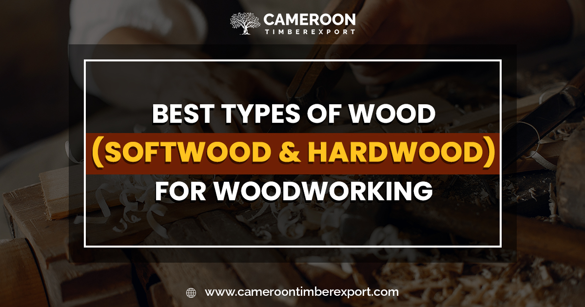 Exploring the Best Types of Wood for Woodworking Projects