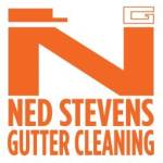 Ned Stevens Profile Picture