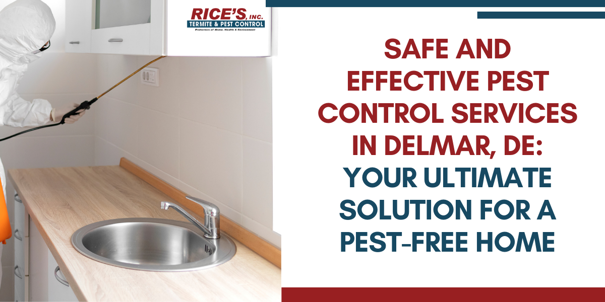 Safe and Effective Pest Control Services in Delmar, DE: Your Ultimate Solution for a Pest-Free Home | by Rice's Termite and Pest Control | Feb, 2024 | Medium