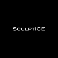 SculptICE - Professional Services -  - Sandy