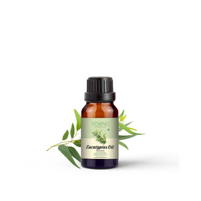 Eucalyptus Oil Profile Picture