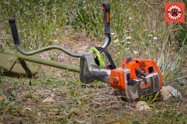 Ask These Questions Before Hiring a Weed Eradication NSW Service Provider