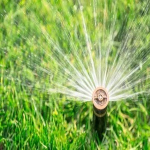 Nurturing Greenery: The Role of a Lawn Sprinkler System Contractor