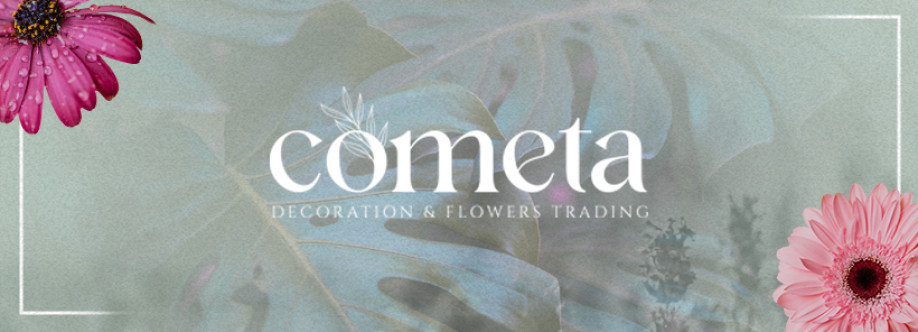 Cometa Decoration Cover Image