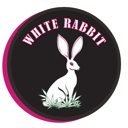 Discover the best Cannabis Concentrates at White Rabbit