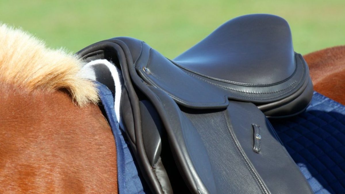 Equestrian Elegance: How English Horse Saddles Improve Rider Form and Function – Covering All Things