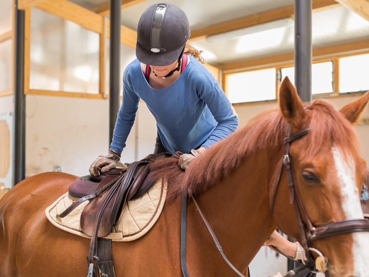 3 Must-Have Accessories to Make Your Horse More Cozy an...