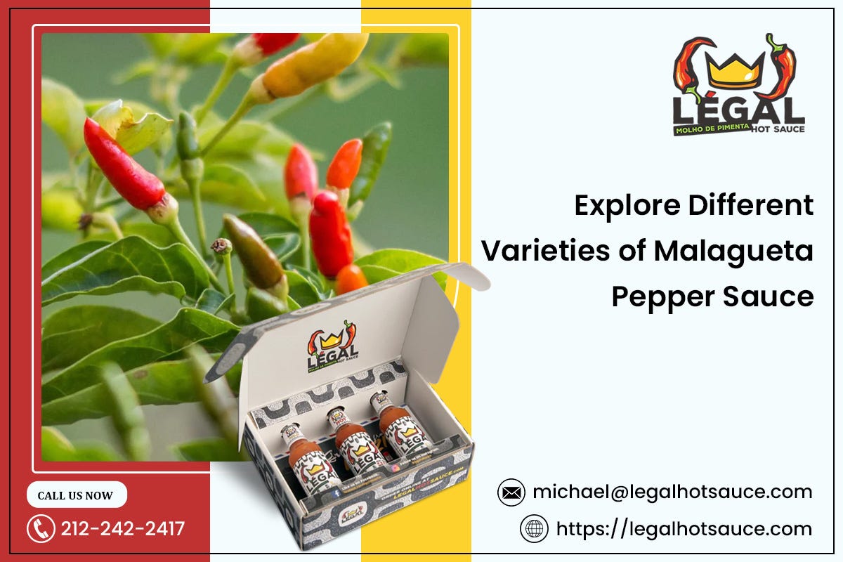 Explore Different Varieties of Malagueta Pepper Sauce | by Légal Hot Sauce | Mar, 2024 | Medium