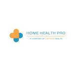 Home Health PRO Profile Picture