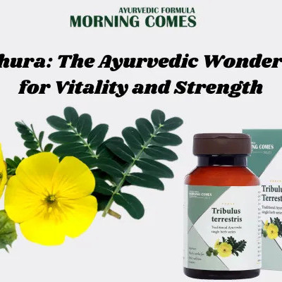 Gokshura: The Ayurvedic Wonder Herb for Vitality and Strength. Profile Picture