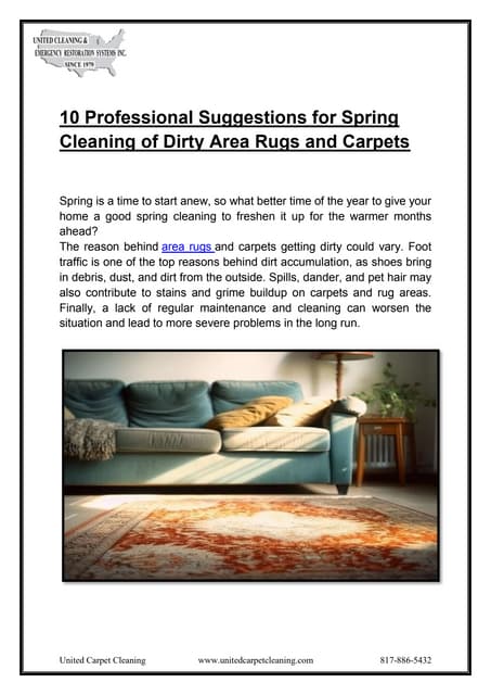 10 Expert Tips for Refreshing Dirty Carpets and Area Rugs this Spring.docx