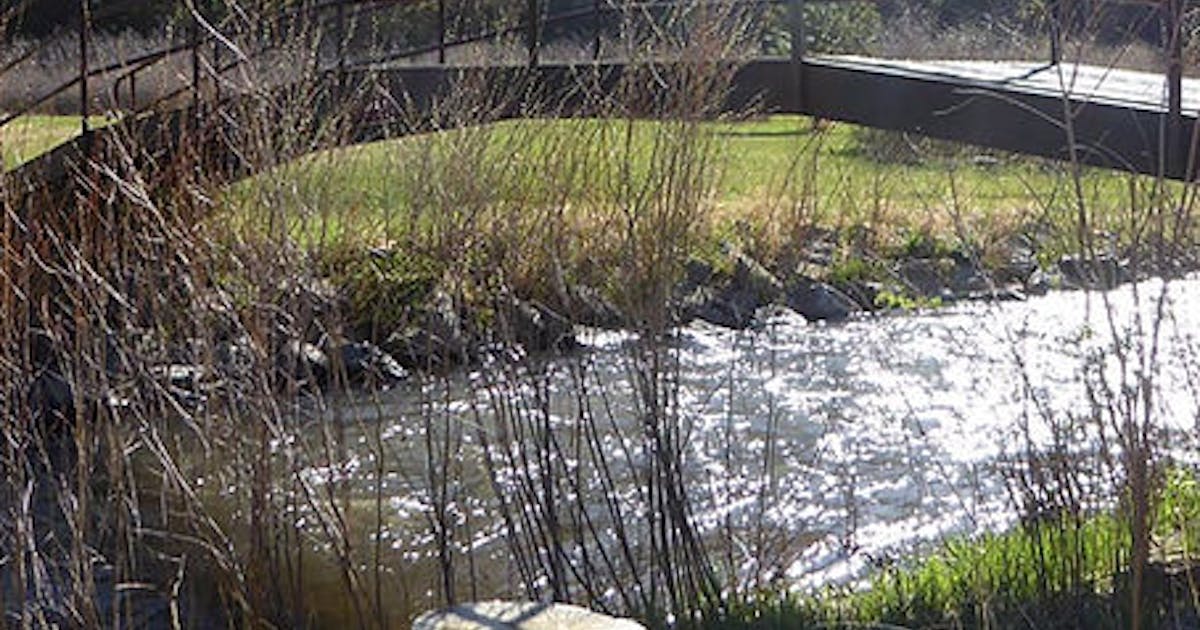 Embracing Nature: Exploring Colorado Riverfront Campus for Sale