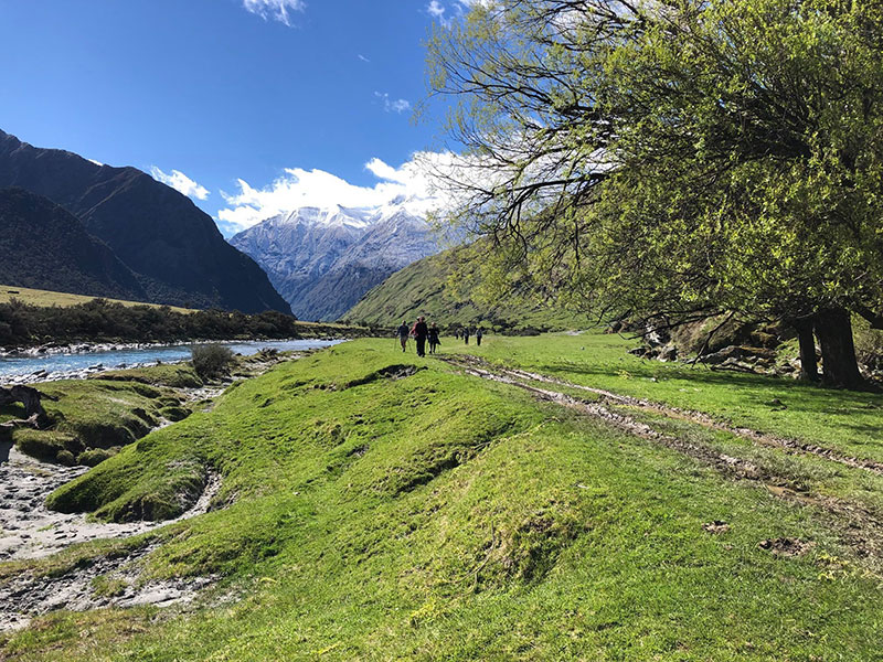 Yoga Retreats In New Zealand | Radiance Retreats