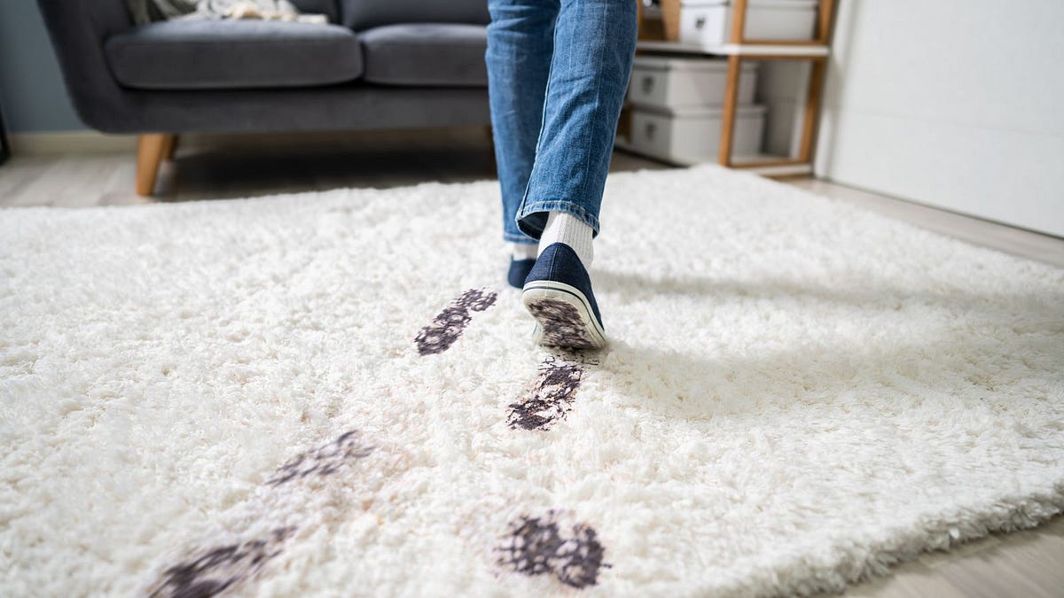 8 Most Effective Stain Removal Techniques for Carpets | by United Carpet Cleaning | Apr, 2024 | Medium