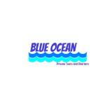 blueoceans Profile Picture