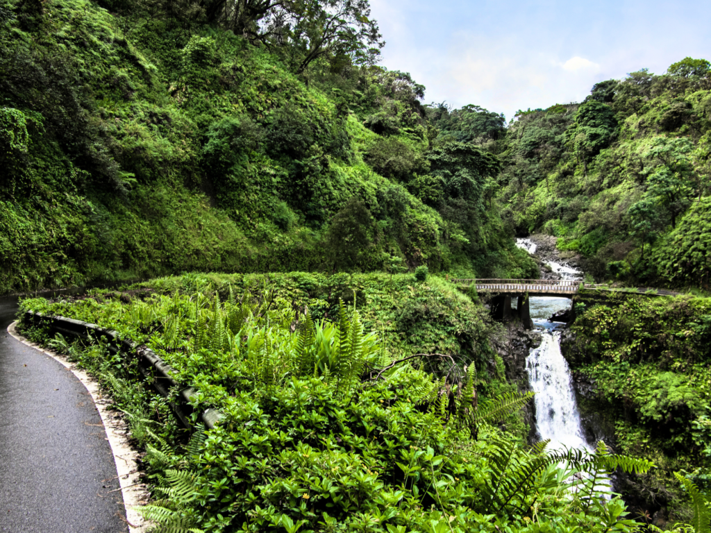 Tour to Hana: Famous Stops During the visit by Stardust Hawaii