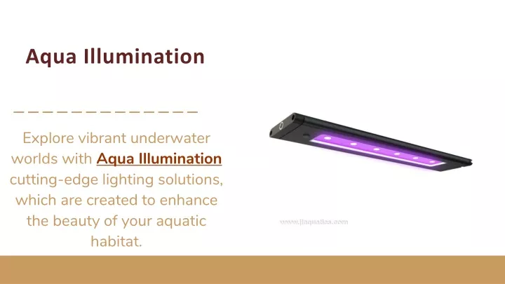 PPT - Aqua Illumination PowerPoint Presentation, free download - ID:13168820