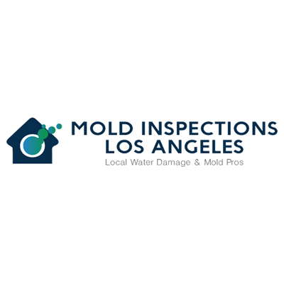 When to Call in the Pros: Professional Mold Inspection After Water Damage | TheAmberPost