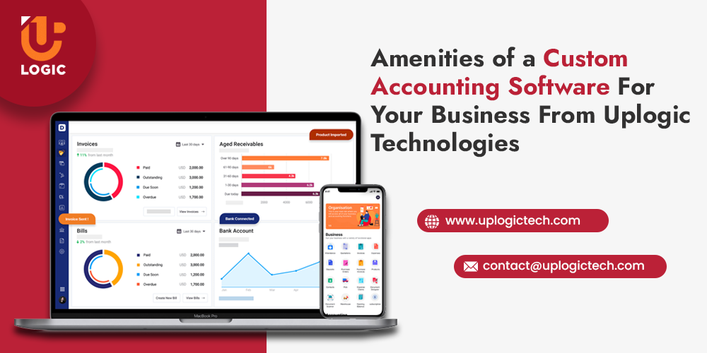 Amenities of a Custom Accounting Software For Your Business From Uplogic Technologies - Uplogic Technologies