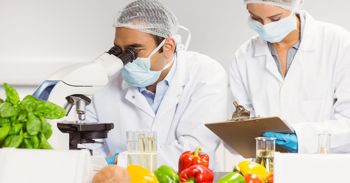 Calibration and Maintenance Tips for Food Industry Temperature Probes: Best Practices